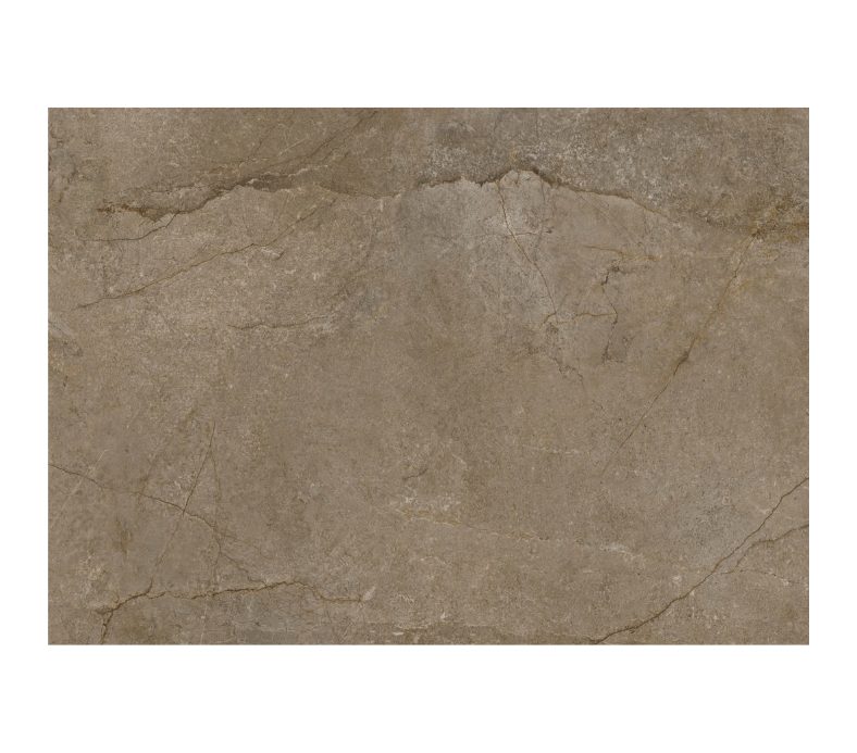 Tấm nhựa ốp tường SPC EM08